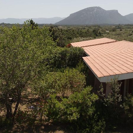 Гостьовий будинок Agriturismo Don Lucifero Орозей Екстер'єр фото
