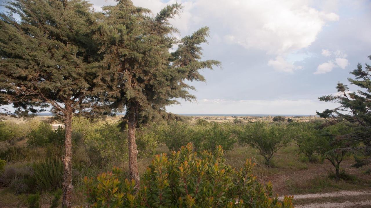 Гостьовий будинок Agriturismo Don Lucifero Орозей Екстер'єр фото