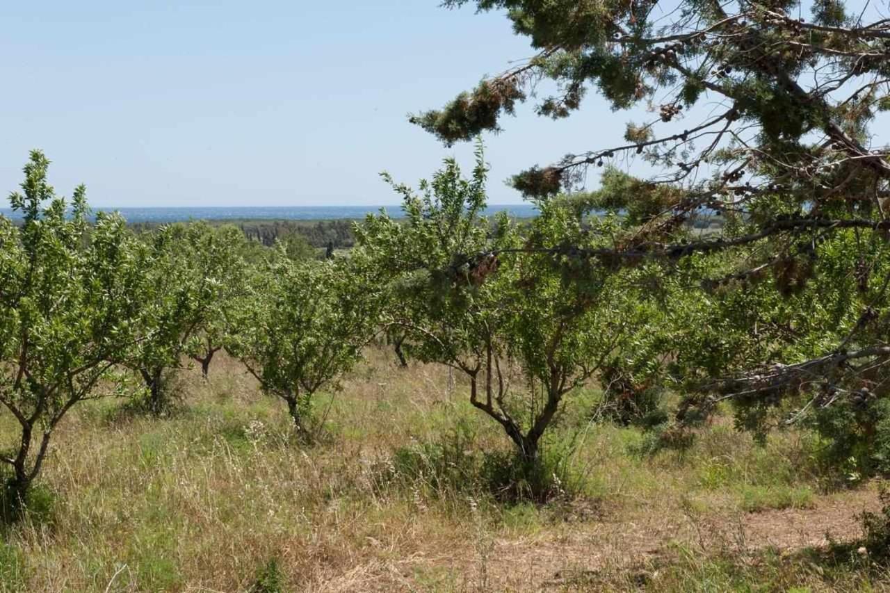 Гостьовий будинок Agriturismo Don Lucifero Орозей Екстер'єр фото